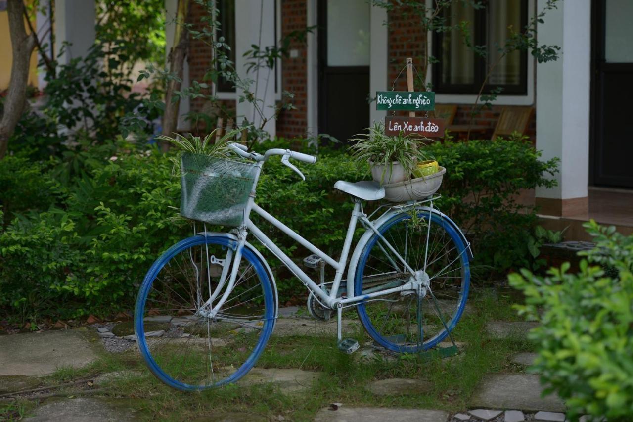 Hang Mua Family Homestay Ниньбинь Экстерьер фото